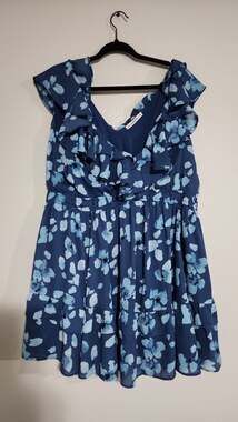 Abercrombie & Fitch Blue Floral Chiffon Ruffle Mini Dress